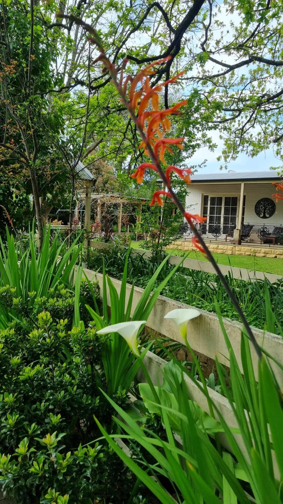 Hahndorf House B&B Εξωτερικό φωτογραφία